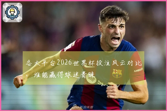 各大平台2026世界杯投注风云对比，谁能赢得球迷青睐