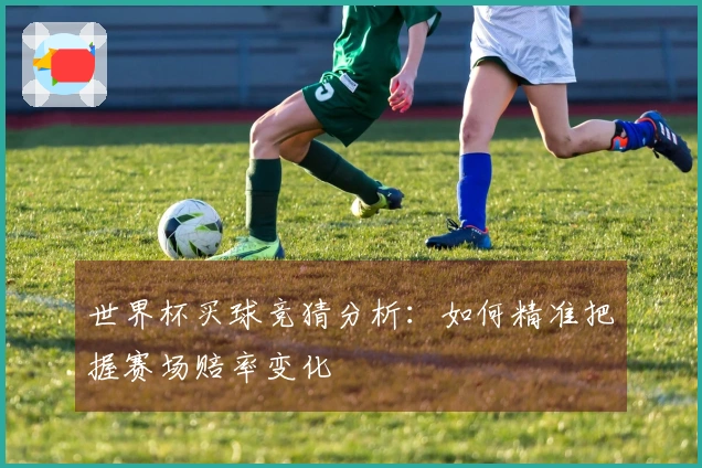世界杯买球竞猜分析：如何精准把握赛场赔率变化