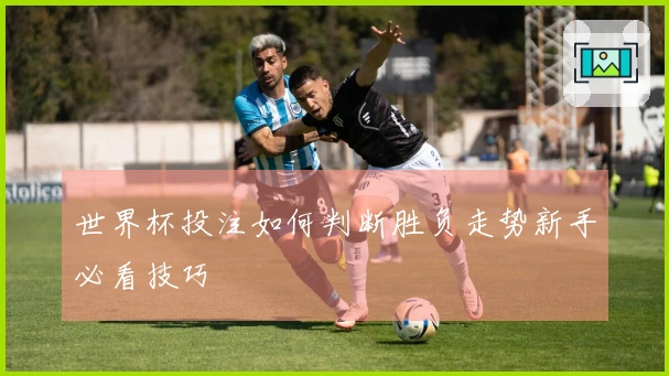 世界杯投注如何判断胜负走势新手必看技巧