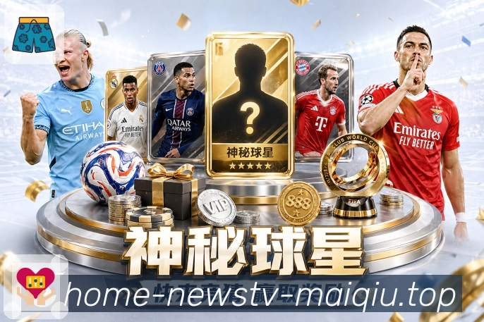 奖项证书